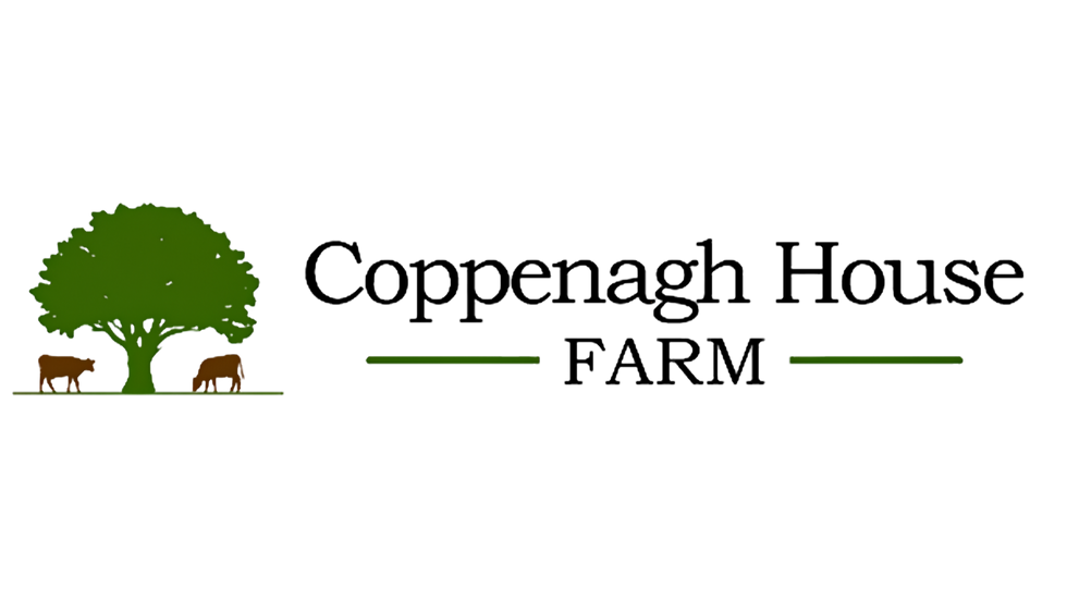 17.png