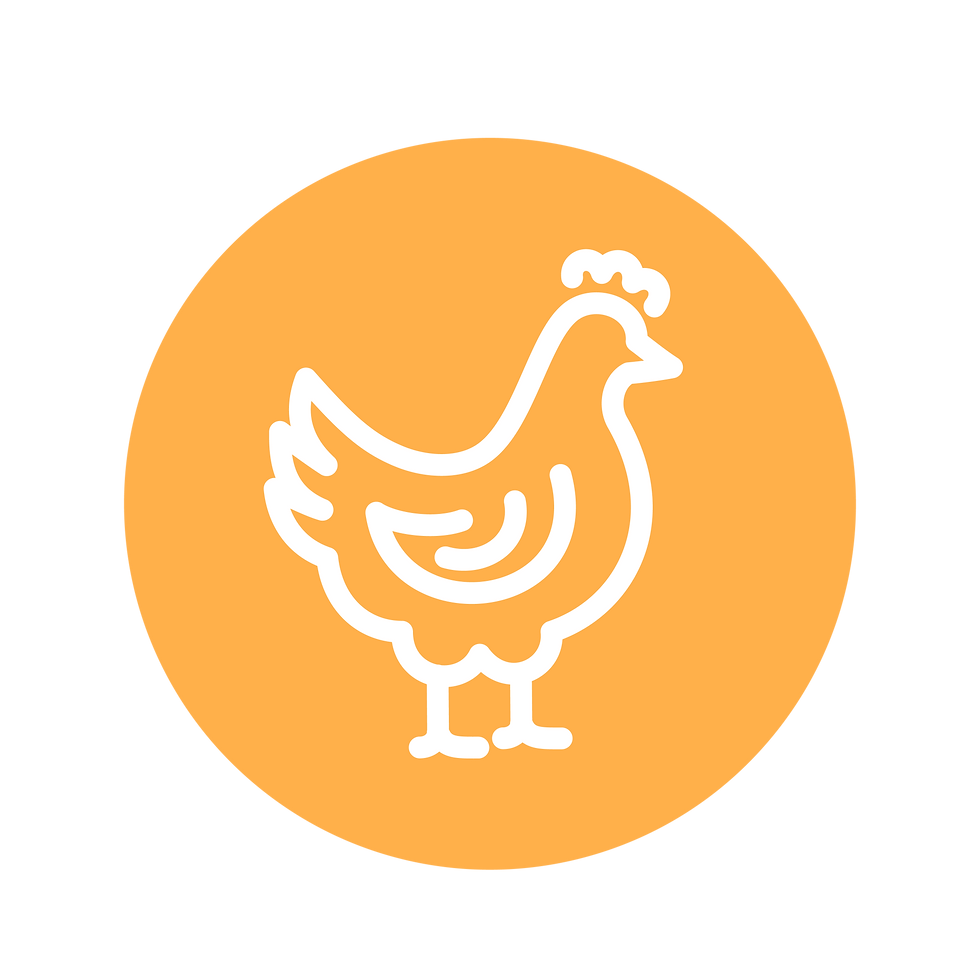 Chicken-Icon.png